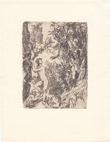 Exlibris bookplate radierung - exlibris,