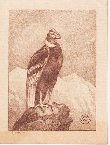Exlibris stern geier - exlibris, m.m.