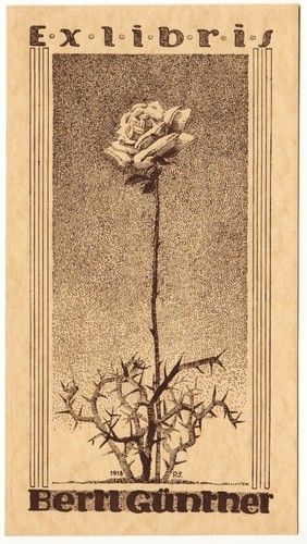 Monogrammist exlibris - p.s.:,