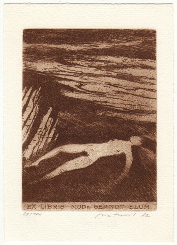 Lubomir netusil exlibris - netusil:, für