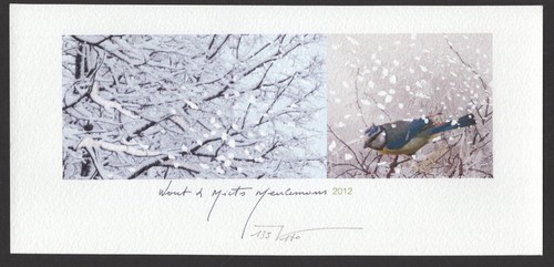 Exlibris 202 martin - exlibris,202,