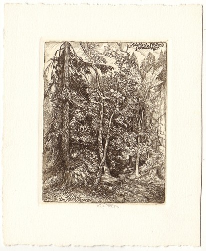 Franz johann pilz exlibris - franz, pilz: