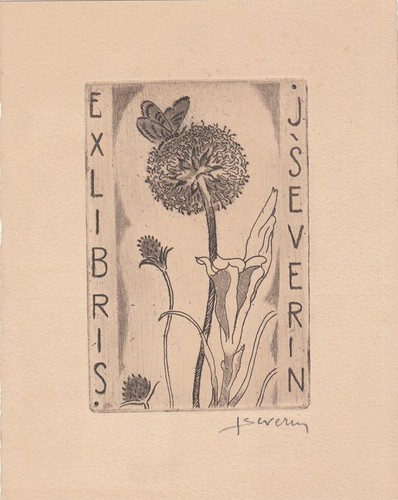 Exlibris bookplate radierung - bookplate,