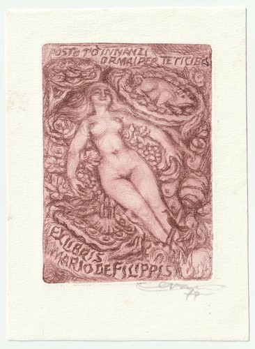 Enrico vannuccini exlibris - enrico,
