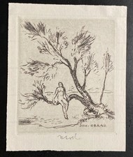 Exlibris Erotik Nackte Frau am