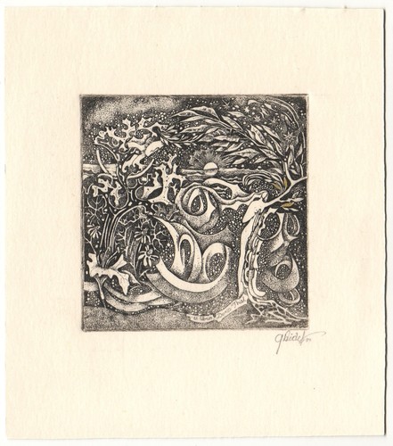 Grazina didelyte exlibris - grazina,