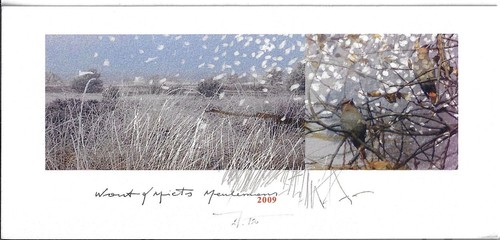 Martin baeyens - r.,